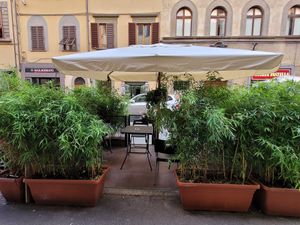Al fresco at Su Guan in Florence