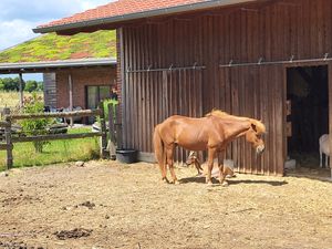  at Biohofladen Overmeyer in Seevetal