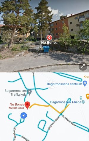 Quickest way. The entrance is located through a small viaduct between to buildings to the left of the small row of shops. Call them for guidance :D at No Bones in Bagarmossen
