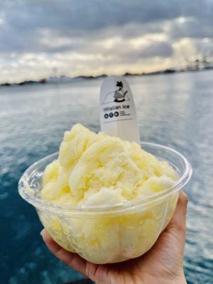 Regular sized pineapple ice - highly recommend! at HItalian Ice in Honolulu