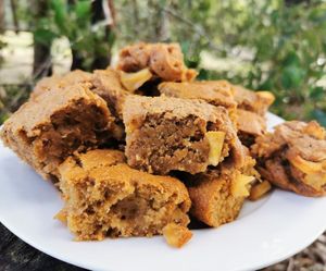 Apple Blondie at Beehive Community Services in Narbethong