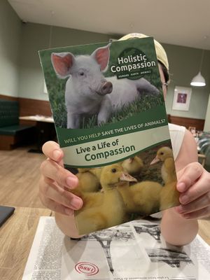   at The Vegano Bistro in Chiang Mai