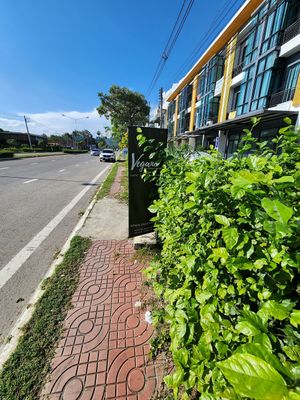  at The Vegano Bistro in Chiang Mai