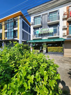  at The Vegano Bistro in Chiang Mai