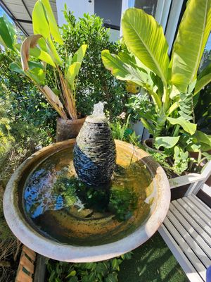  at The Vegano Bistro in Chiang Mai