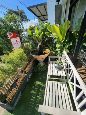  at The Vegano Bistro in Chiang Mai