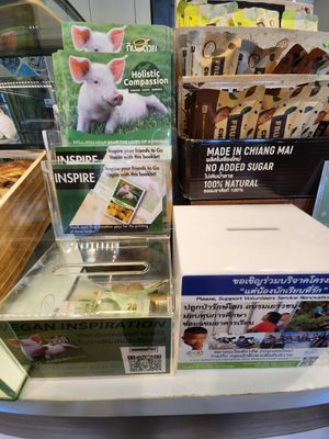  at The Vegano Bistro in Chiang Mai