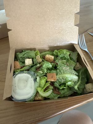  #Veganuary at The Vegano Bistro in Chiang Mai