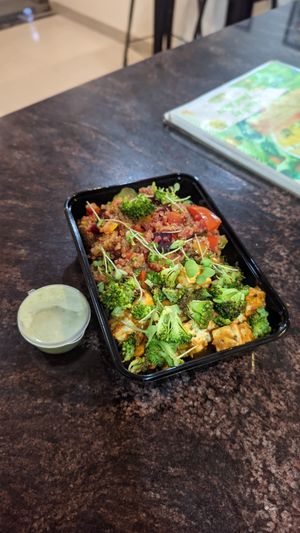 vegan meal box at Nutrieat in Jodhpur