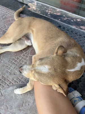   at Nutrieat in Jodhpur