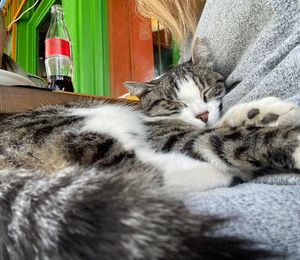   at Veganarsist Kadıköy - Osmanağa in Istanbul