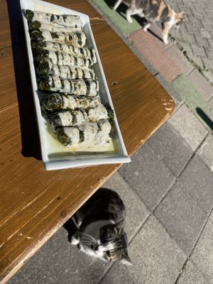 Sarma with kale leaves  at Veganarsist Kadıköy - Osmanağa in Istanbul