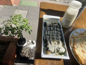   at Veganarsist Kadıköy - Osmanağa in Istanbul