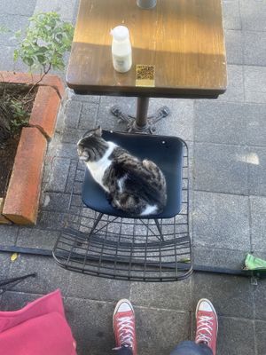   at Veganarsist Kadıköy - Osmanağa in Istanbul