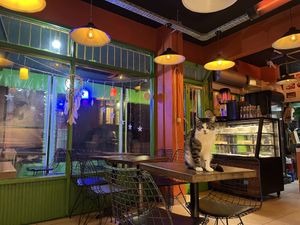 Inside  at Veganarsist Kadıköy - Osmanağa in Istanbul