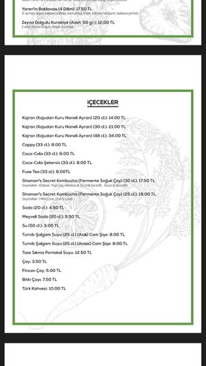 The menu in Turkish at Veganarsist Kadıköy - Osmanağa in Istanbul