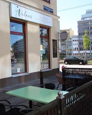 Schanigarten (Outside) at Velani in Vienna