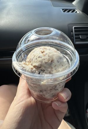 Coconut dark chocolate  at Tongue In Cheek Ice Cream in Richardson