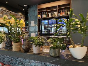 The bar  at Noosou in Bremen