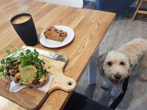 Dog friendly 😊 at Happyccino in Wimborne