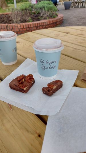 Brownie at Happyccino in Wimborne
