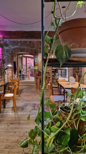  at Wanderlust in Regensburg