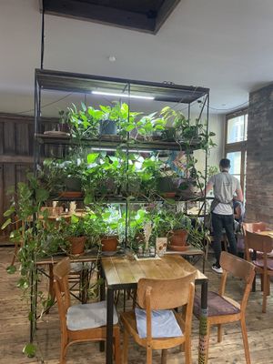   at Wanderlust in Regensburg