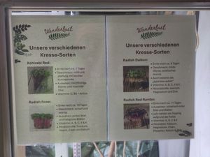 Info about fresh sprouts at Wanderlust in Regensburg