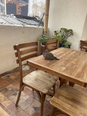   at Maha Vegan Food in Bogota