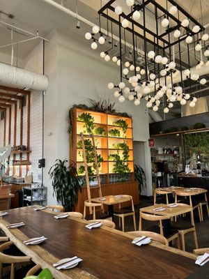   at The Yasai - Little Italy in San Diego