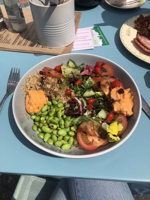 Beautiful Buddha bowl at The Library Harbour Cafe in Weymouth
