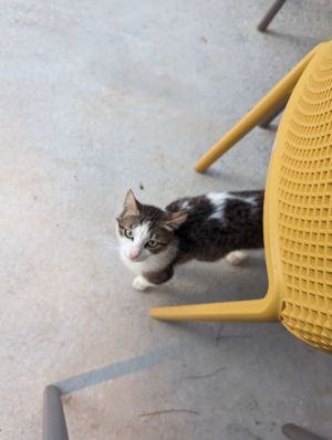  at Oniro By The Sea in Paphos