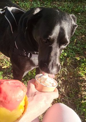  at Slaščičarna Jagoda in Ptuj