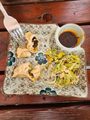 Die Teigtaschen würde ich nicht zwingend empfehlen. Insbesondere, weil die Hauptspeise so groß ist. at Ramen Soul 2 in Dusseldorf