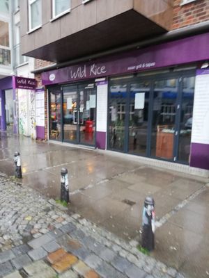 Wild rice at Wild Rice in Hamburg