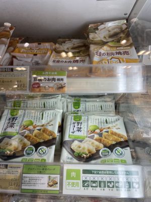 Vegan Shumai and gyoza  at Bioral in Osaka