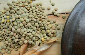 Lentil at Gramm in Cuenca