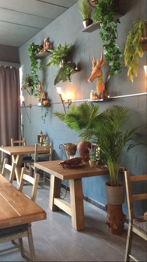Cosy interieur  at Vegan Options Foodbar in Heppen