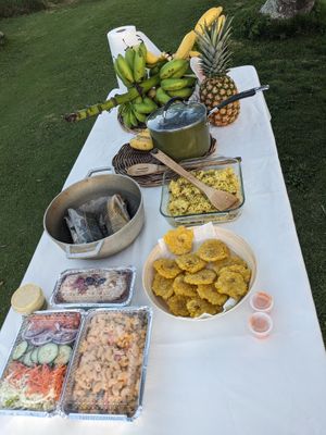 Christmas Pre-order. Italian Salad, Pasta Salad, Pastilles, Rice, Soy Beef Stew, and a Dessert Loaf.  at Frescura Vegan Kitchen in Bayamon