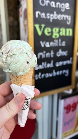 Mint chocolate chip  at 100 Flavours in Cheddar