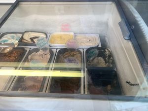 Vegan icecreams at 100 Flavours in Cheddar