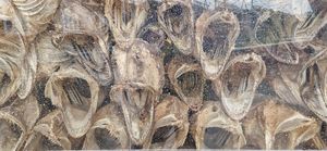  at Anita's Sjømat in Reine