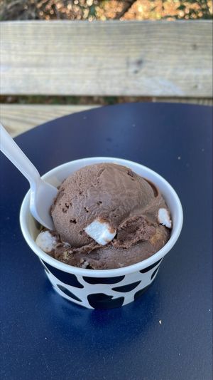   Vegan smores ice creamm  at Gilbert's Ice Cream in Pawleys Island