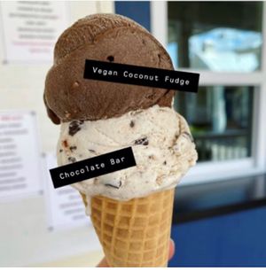 fudge coconut milk base with toasted coconut at Gilbert's Ice Cream in Pawleys Island