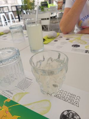  at BioMania Bistro Bol in Bol