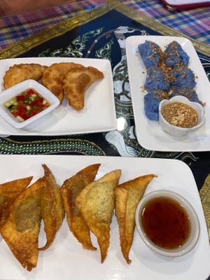 pork wontons, fresh dumplings, and curry puff!  at Aroy Thai Gardens in Middletown