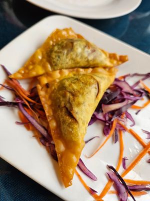 Wontons at Aroy Thai Gardens in Middletown