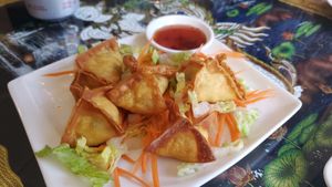 Vegam Crab Rangoon at Aroy Thai Gardens in Middletown
