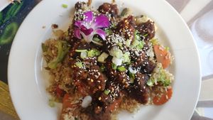 General Tso and Fried Rice at Aroy Thai Gardens in Middletown