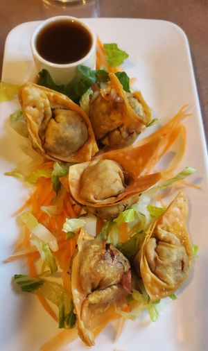 impossible wonton at Aroy Thai Gardens in Middletown